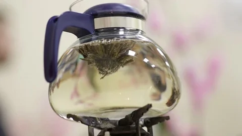 Making tea during a traditional Japanese tea ceremony. Stock Footage 123775817