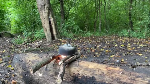 Making tea on fire in the forest Stock Footage 252077803