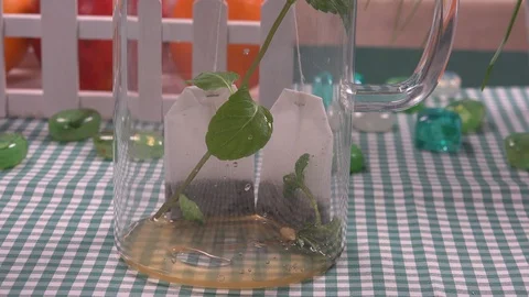 Making Tea Stock Footage 98049879