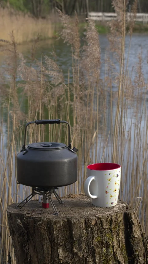 Making tea near the pond. Vertical video. Video stock 277034660