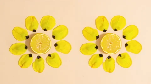 Making two creative yellow flowers made of lemon and flower petals. Stop motion Stock Footage 152911759