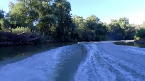 Making waves on Danube Delta,driving a motor boat Stock Footage 79964587