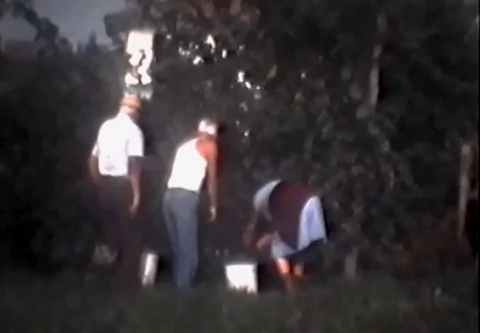 Making Wine in 1975 . Super 8 mm Grape Harvest Tractor and people Stock Footage 124213672