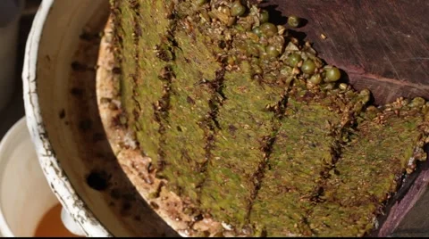 Making wine - after pressing Stock Footage 890500