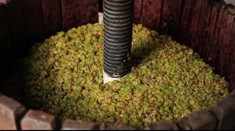 Making wine - press filling 库存影片 890400