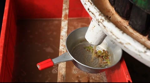 Making wine - pressing III 库存影片 890361