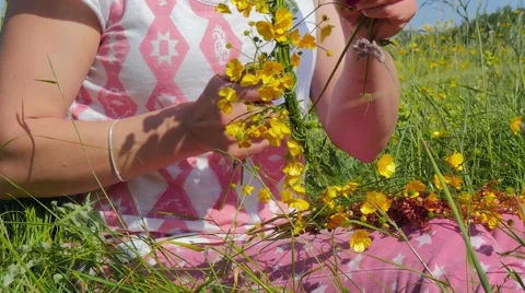 Making of wreath in a field while enjoying the sun shine Stock Footage 50904086