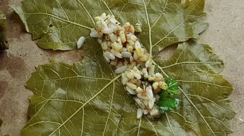 Making Yaprak Sarma Stock Footage 63621584