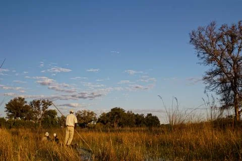 Makoro poler in the Okavango Delta, Botswana, Africa. Stock Photos