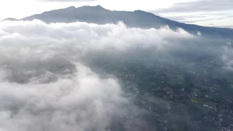 Malabar Video stock 242145333