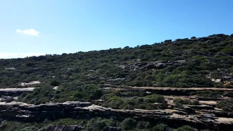 Malabar Headland Flyover Stock-Footage 341778997