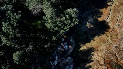 Malabar Rocks Looking Down Trees to Bay Stock-Footage 341779200