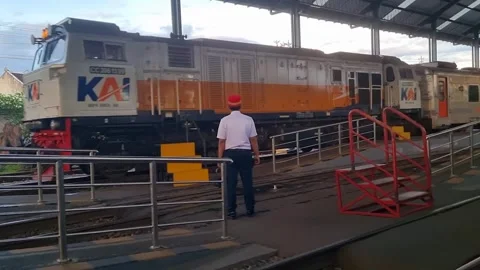 Malabar train arriving at the station platform Video stock 337817585