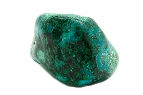 Malacholla Stock Photos