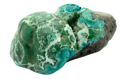 Malacholla Stock Photos