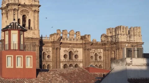 Malaga Cathedral View Stock Footage 57522372