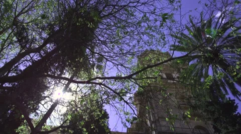 Malaga Cathedral View Stock Footage 57524285
