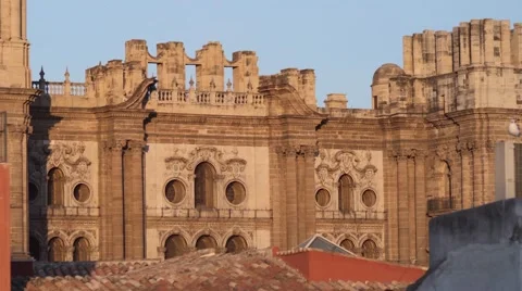 Malaga Cathedral View Stock Footage 57529332