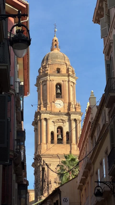 Malaga Cathedral view from street. Vertical video Stock Footage 240920449