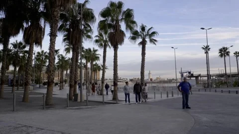 MALAGA HARBOUR Stock Footage 256233108