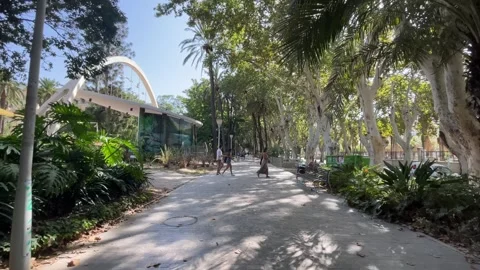 Malaga, Spain, 15th August 2024- People walking through the garden in Malaga Stock Footage 283553213