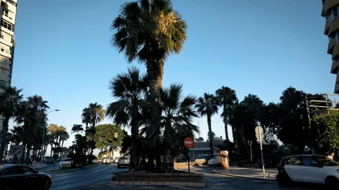 Malaga streets Stock Footage 101855650