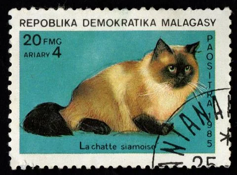 Malagasy postage stamp dedicated to thoroughbred Siamese cat. Feline Foto stock