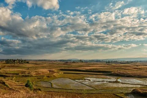 Malagasy rice fields Stock Photos