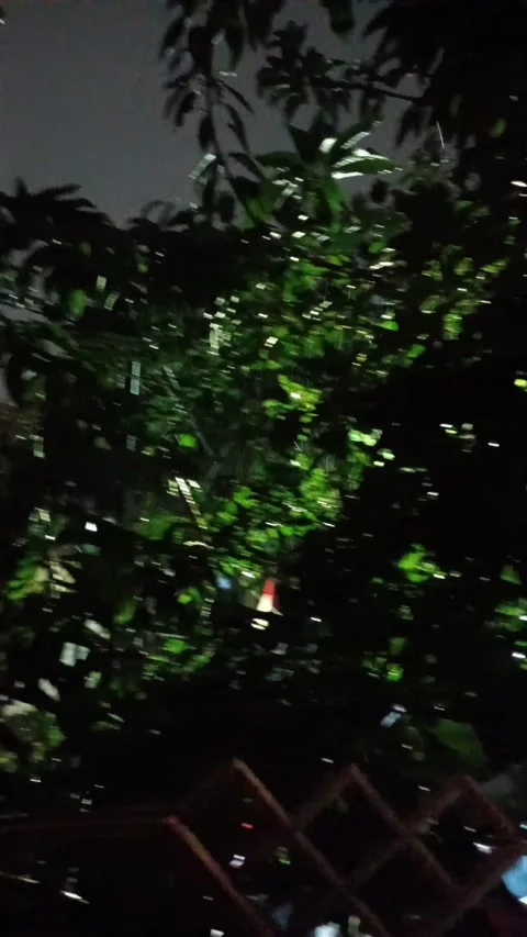 Malam hari Video stock 233691001