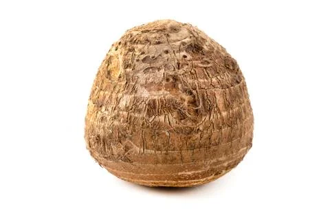 Malanga Stock Photos