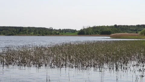 Mälaren lake Stock Footage 250476536