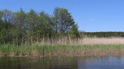 Mälaren lake. Stock Footage 250476546