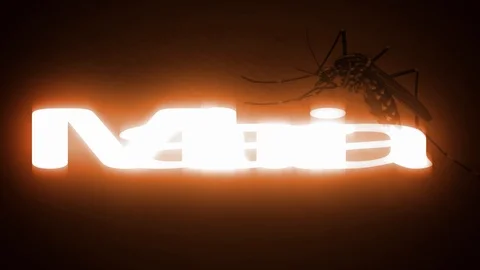 Malaria Stock Footage 122451859