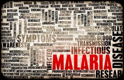 Malaria 스톡 일러스트