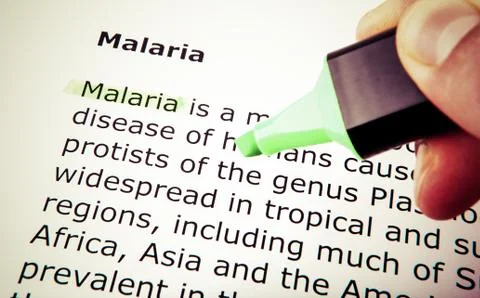 Malaria Stock Photos