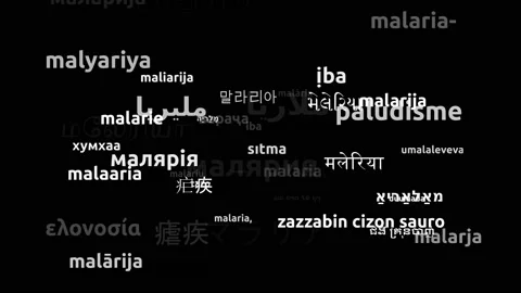 Malaria Translated in 55 Worldwide Languages Endless Looping 3d Zooming Wordc 스톡 동영상 145211907