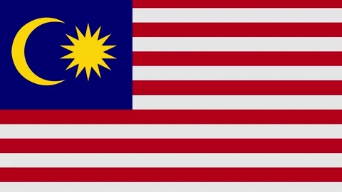 Malasya flag with animated light sweep Stock Footage 309883599