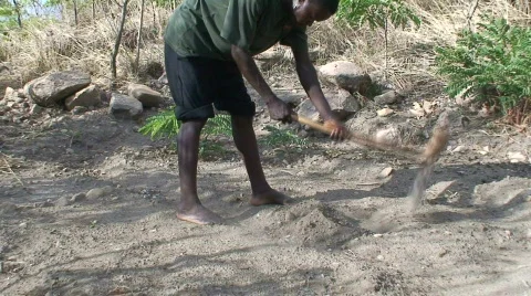 Malawi: african man digs a row in a ground 1 Stock Footage 290082