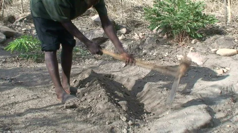 Malawi: african man digs a row in a ground 2 Stock Footage 290101