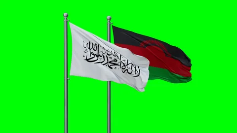 Malawi and Afghanistan two flags Stock Footage 295064662