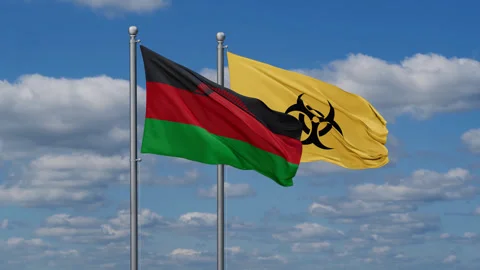Malawi and Biological hazard flags Stock Footage 287945907
