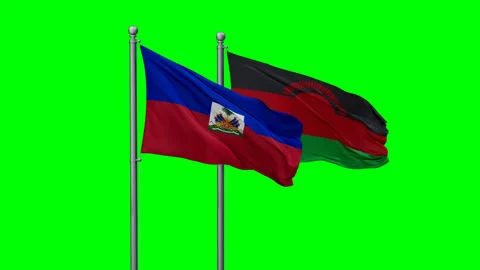 Malawi and Haiti two flags Stock Footage 293733575