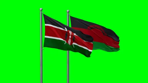 Malawi and Kenya two flags Stock Footage 291854821