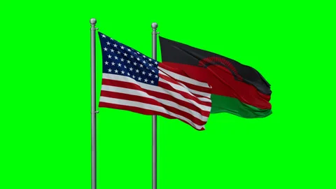 Malawi and USA two flags Stock Footage 289669439
