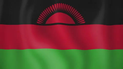 Malawi animated flag. Seamless loop. 4K Stock Footage 145445624