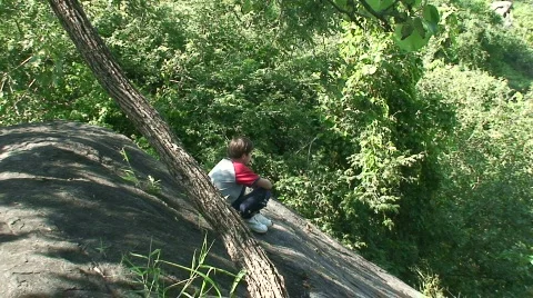 Malawi: a boy in a jungle Stock Footage 732496