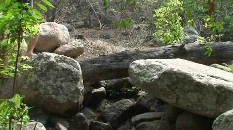 Malawi: boy walking on a rocks Stock Footage 289636