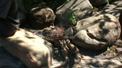 Malawi: burning fire in fireplace Stock Footage 446614