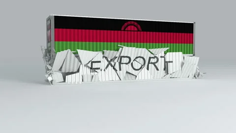 Malawi container with the flag falls on top of a container labeled EXPORT Stock Footage 124599120