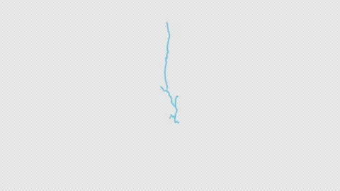 Malawi Country Line Map Self Drawing Animated Overlay, Alpha 4K Vidéo 340290563